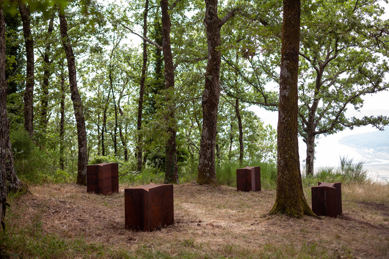 Matteo Nasini, Campo sintonico, photo Riccardo Muzzi